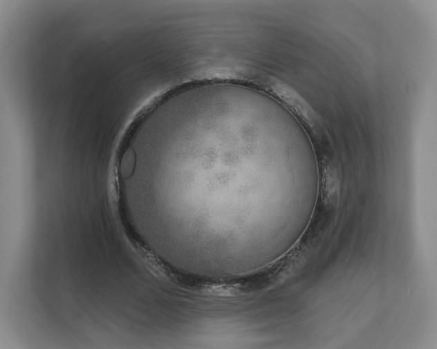 X0000111620680200907241030