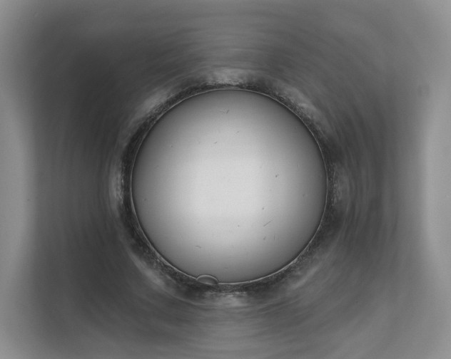 X0000111620683200907241030