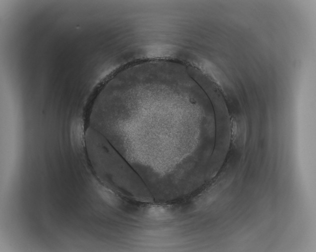 X0000111620684200907241030