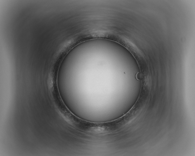 X0000111620687200907241030