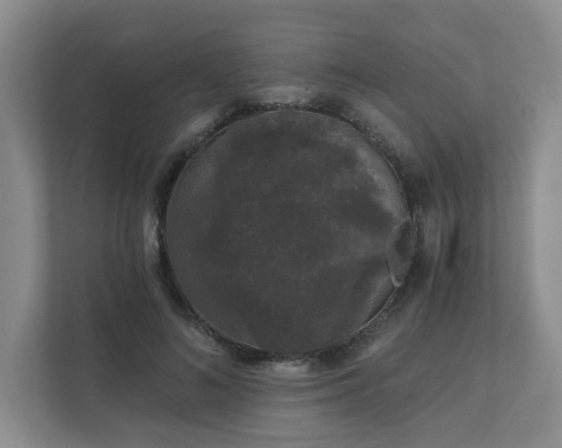 X0000111620692200907241030