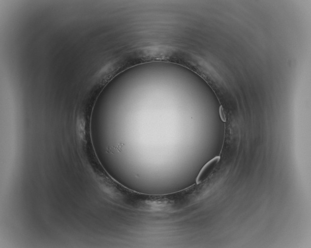 X0000111620693200907241030