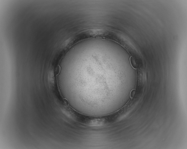 X0000111620700200907241030