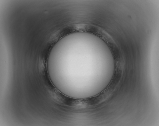 X0000111620702200907241030