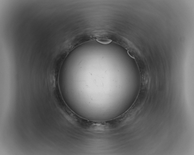 X0000111620703200907241030