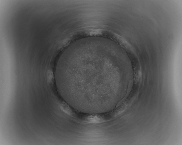 X0000111620704200907241030