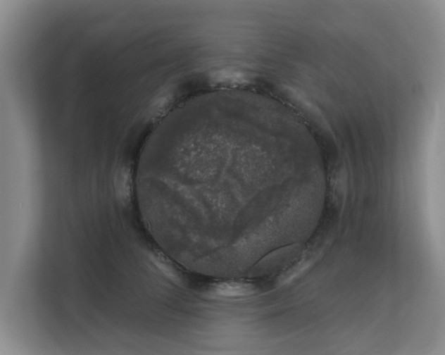 X0000111620708200907241030