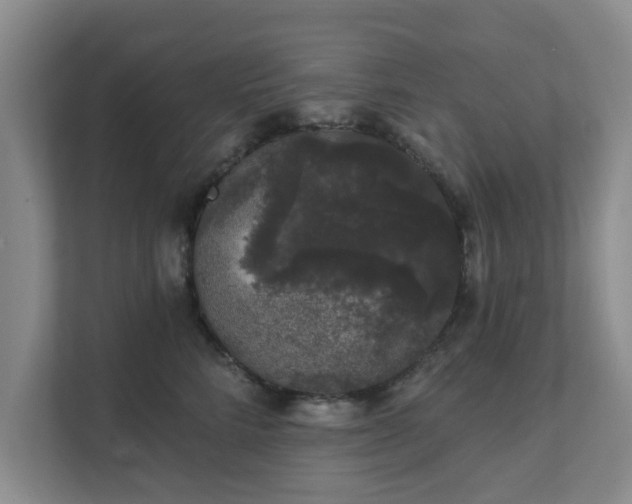 X0000111620712200907241030