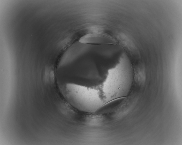 X0000111620716200907241030