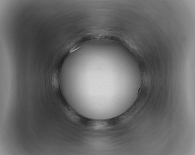 X0000111620719200907241030