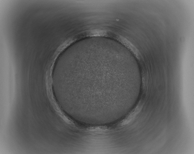 X0000111620721200907241029
