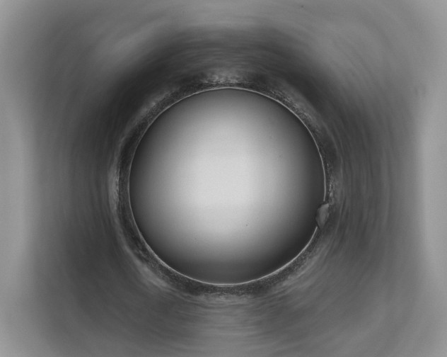 X0000111620722200907241029
