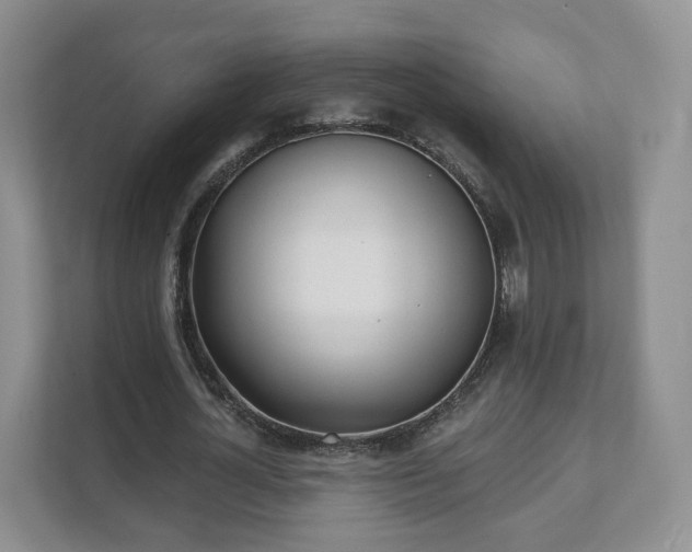 X0000111620724200907241029
