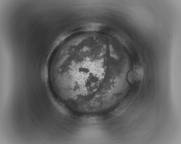 X0000111620726200907241029