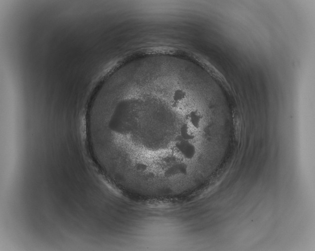 X0000111620729200907241029