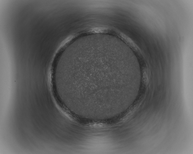 X0000111620730200907241029