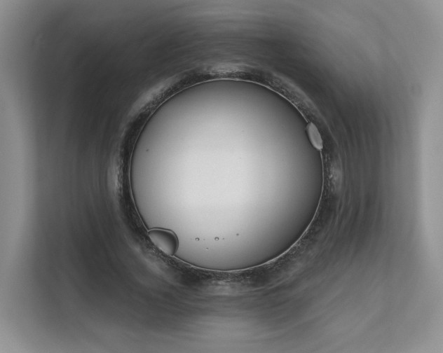X0000111620732200907241029