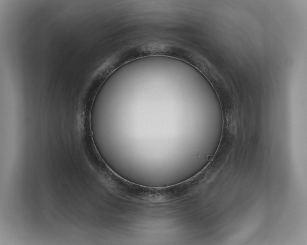 X0000111620735200907241029