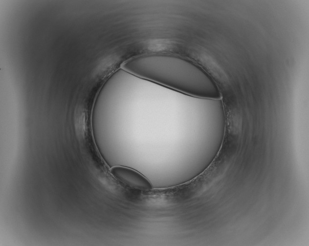 X0000111620740200907241029