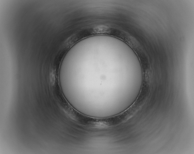 X0000111620741200907241029