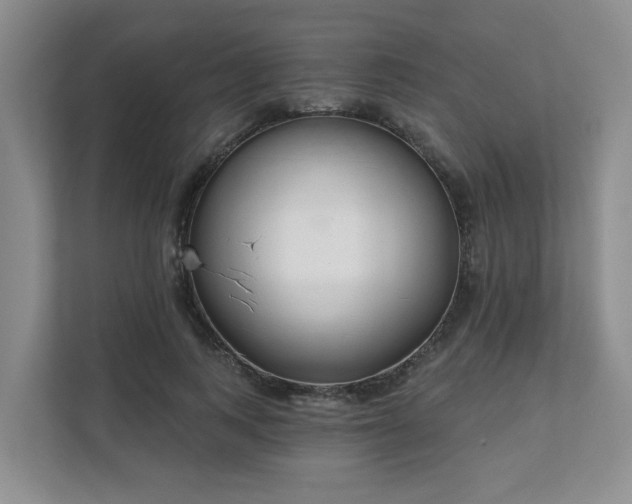 X0000111620743200907241030