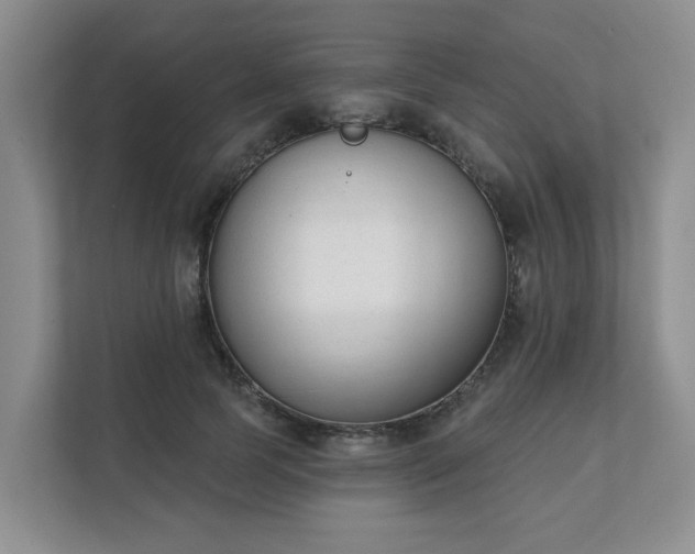 X0000111620745200907241030