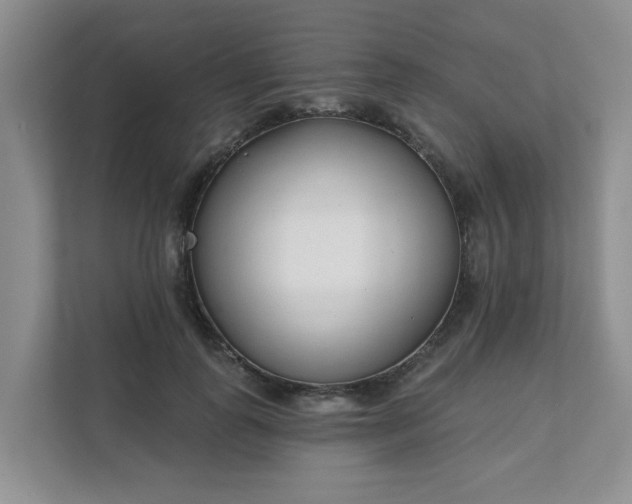 X0000111620747200907241030