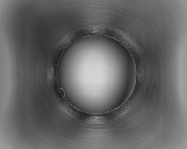 X0000111620748200907241030