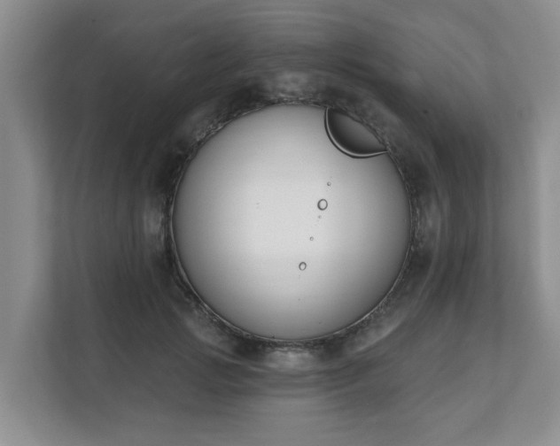 X0000111620749200907241030