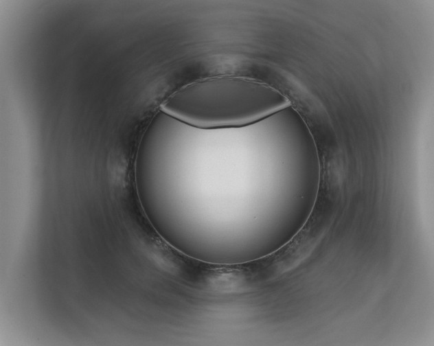 X0000111620750200907241030
