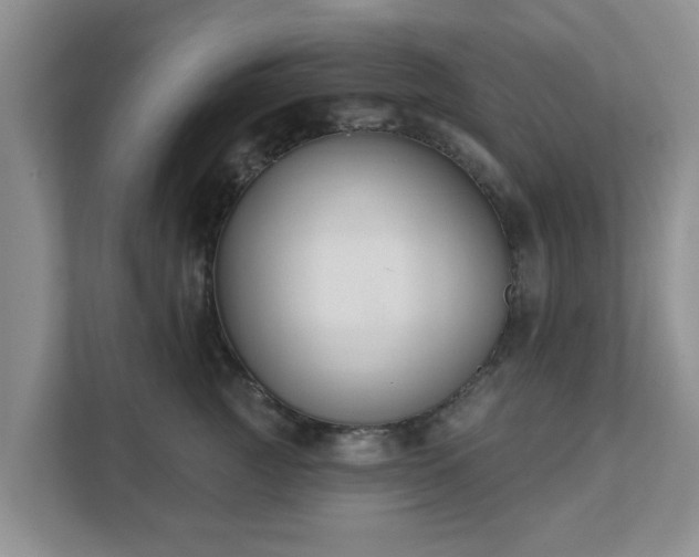 X0000111620761200907241030