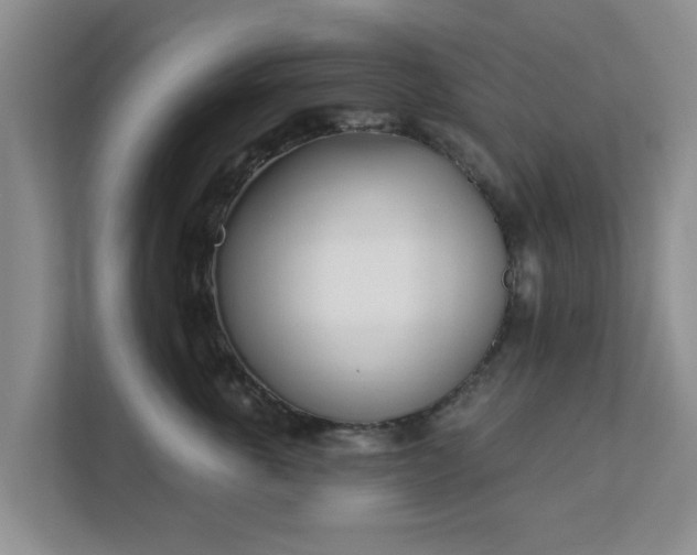X0000111620763200907241030