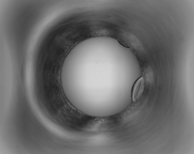 X0000111620764200907241030