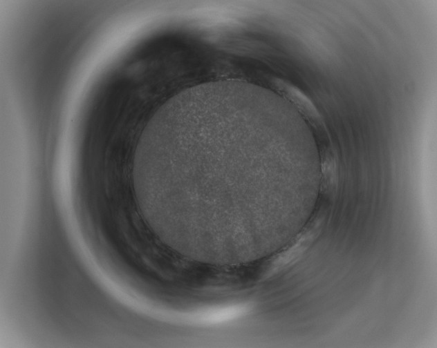X0000111620765200907241030