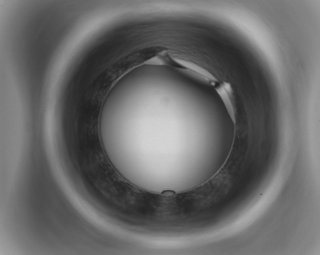 X0000111620766200907241030
