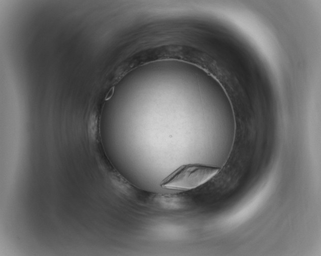 X0000111620767200907241030