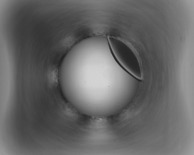 X0000111620768200907241030