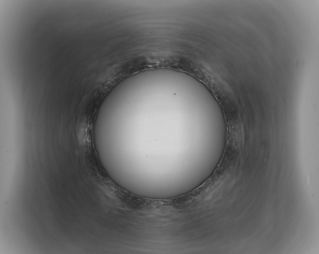 X0000111620770200907241029