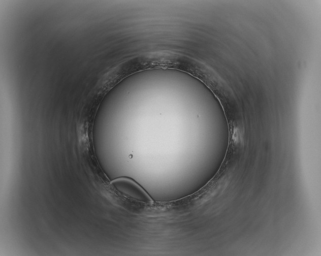 X0000111620771200907241029