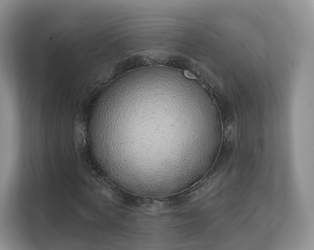 X0000111620772200907241029