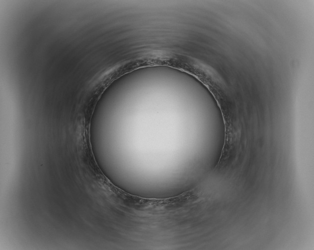 X0000111620773200907241029