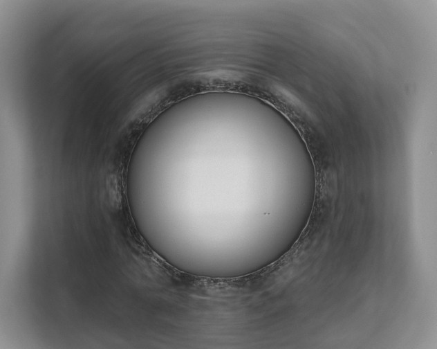 X0000111620774200907241029