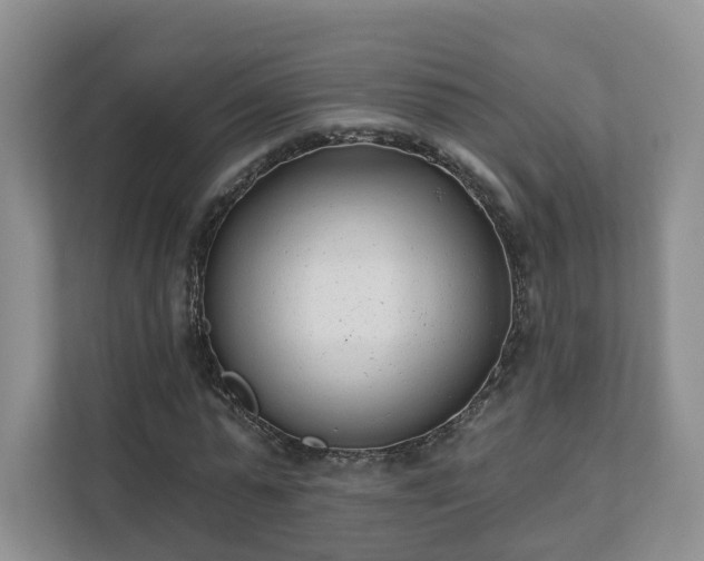 X0000111620775200907241029