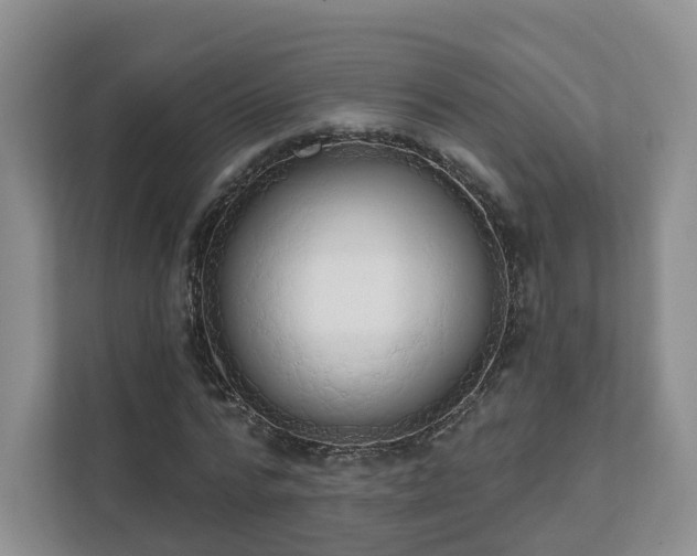 X0000111620776200907241029