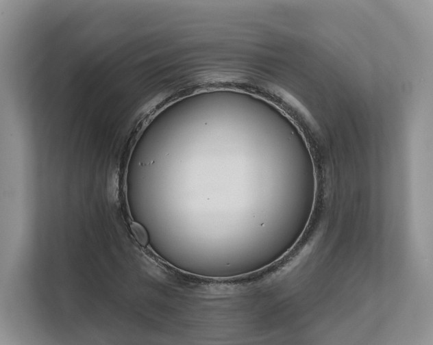 X0000111620777200907241029