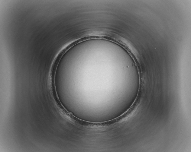 X0000111620779200907241029
