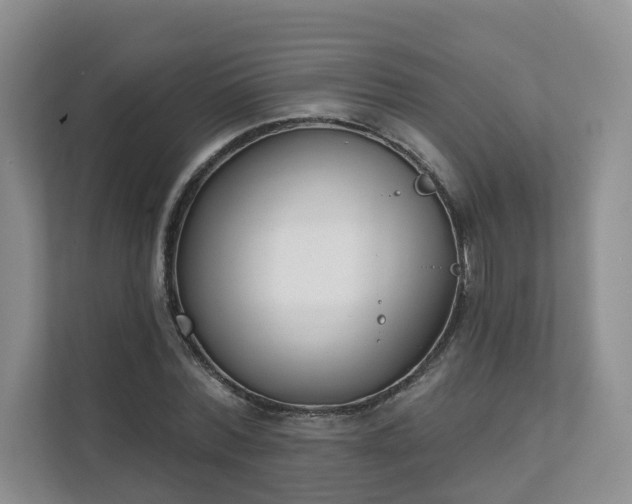 X0000111620780200907241029