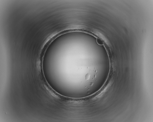 X0000111620781200907241029