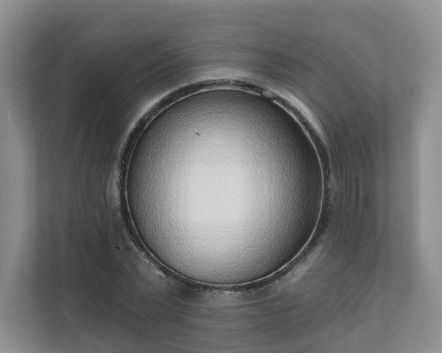 X0000111620783200907241029