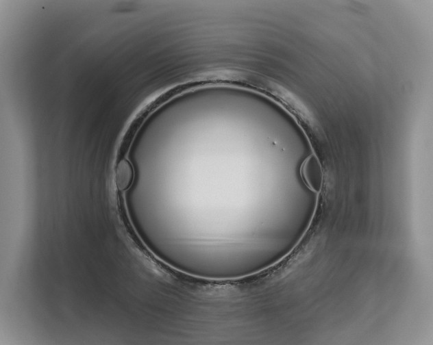 X0000111620784200907241029